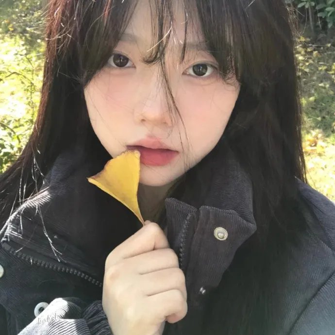 少女特工队